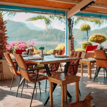 Hotel Dolphin Boutique & Restaurant